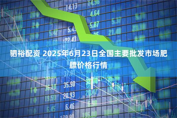 驷裕配资 2025年6月23日全国主要批发市场肥膘价格行情