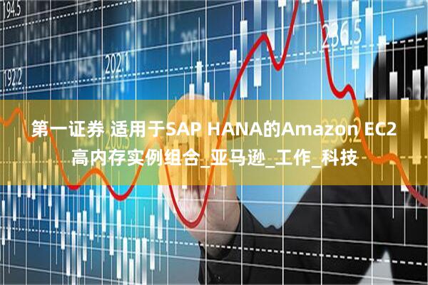 第一证券 适用于SAP HANA的Amazon EC2高内存实例组合_亚马逊_工作_科技